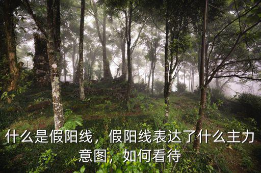 個(gè)股假陽(yáng)線(xiàn)說(shuō)明什么,假陽(yáng)線(xiàn)表達(dá)了什么主力意圖