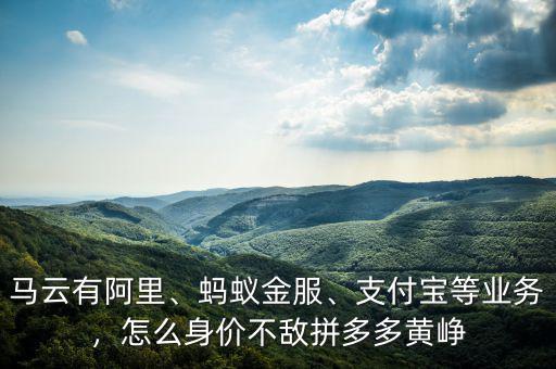 馬云有阿里、螞蟻金服、支付寶等業(yè)務(wù)，怎么身價(jià)不敵拼多多黃崢