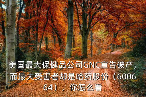 美國(guó)最大保健品公司GNC宣告破產(chǎn)，而最大受害者卻是哈藥股份（600664），你怎么看
