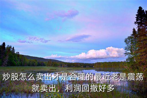 炒股怎么賣出才是合理的最近老是震蕩就賣出，利潤(rùn)回撤好多
