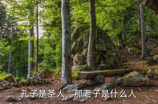 孔子是圣人，那老子是什么人