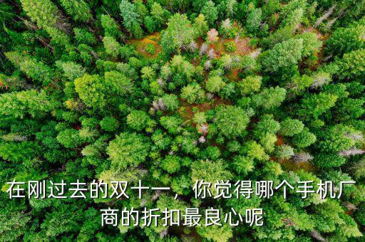 在剛過去的雙十一，你覺得哪個手機廠商的折扣最良心呢