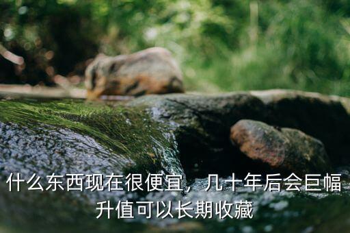 什么東西現(xiàn)在很便宜，幾十年后會(huì)巨幅升值可以長期收藏