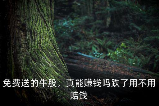 免費送的牛股，真能賺錢嗎跌了用不用賠錢