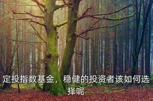 定投指數(shù)基金，穩(wěn)健的投資者該如何選擇呢