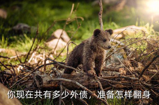 你現(xiàn)在共有多少外債，準備怎樣翻身