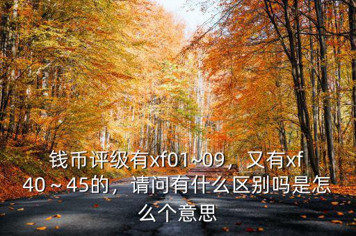 錢幣評級有xf01~09，又有xf40～45的，請問有什么區(qū)別嗎是怎么個(gè)意思
