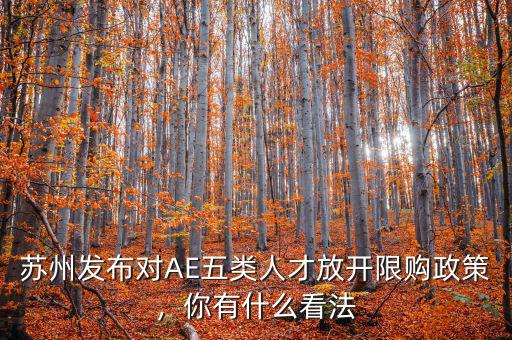 蘇州發(fā)布對AE五類人才放開限購政策，你有什么看法