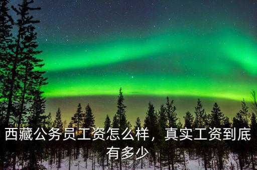 西藏公務(wù)員工資怎么樣，真實工資到底有多少