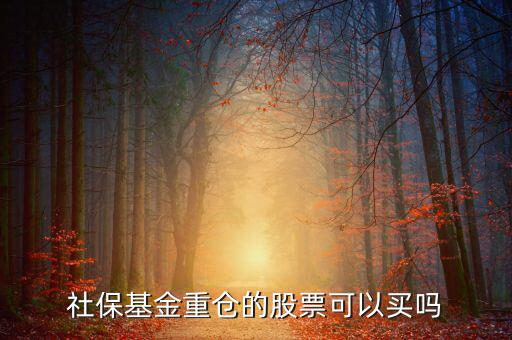 社保買了獐子島多少股票,社?；鹬貍}的股票可以買嗎