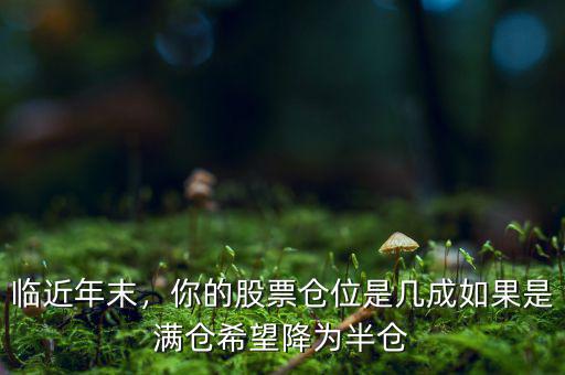 臨近年末，你的股票倉位是幾成如果是滿倉希望降為半倉