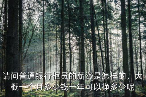 請問普通銀行柜員的薪資是怎樣的，大概一個月多少錢一年可以掙多少呢