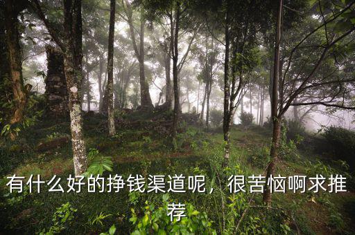 有什么好的掙錢渠道呢，很苦惱啊求推薦
