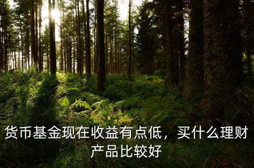 貨幣基金現(xiàn)在收益有點(diǎn)低，買什么理財(cái)產(chǎn)品比較好