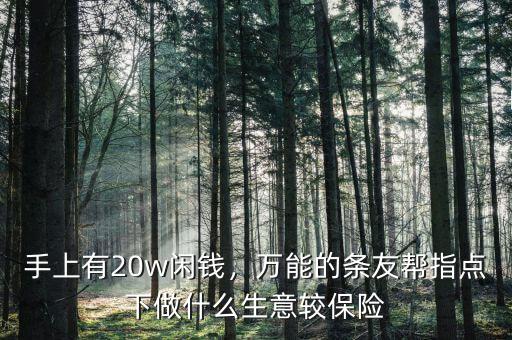 手上有20w閑錢，萬(wàn)能的條友幫指點(diǎn)下做什么生意較保險(xiǎn)