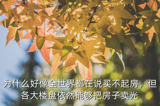 為什么好像全世界都在說買不起房，但各大樓盤依然能夠把房子賣光