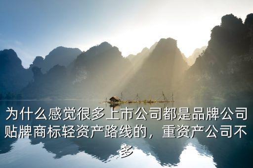 為什么感覺很多上市公司都是品牌公司貼牌商標(biāo)輕資產(chǎn)路線的，重資產(chǎn)公司不多