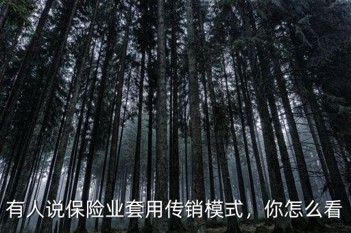 有人說保險(xiǎn)業(yè)套用傳銷模式，你怎么看