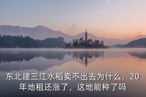東北建三江水稻賣不出去為什么，20年地租還漲了，這地能種了嗎