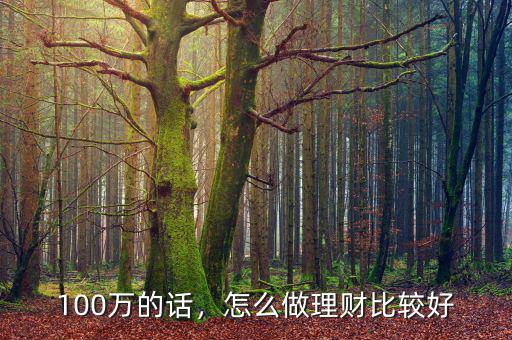 100萬的話，怎么做理財比較好