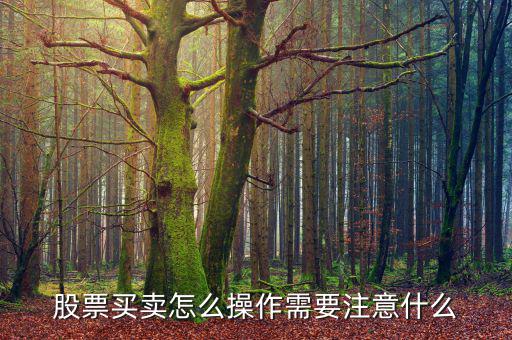 機構(gòu)怎么操作股票,應(yīng)該如何進(jìn)行股票布局操作