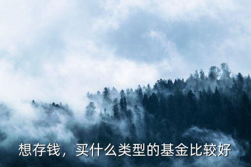 想存錢(qián)，買(mǎi)什么類型的基金比較好