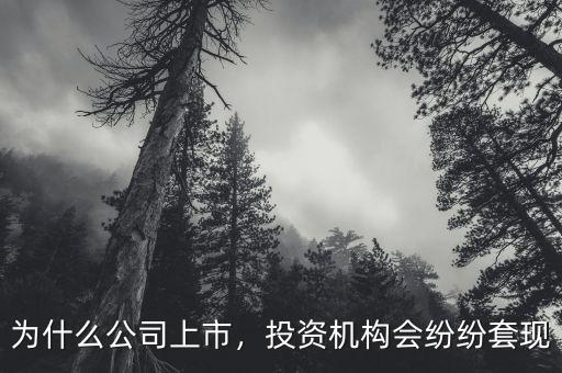 為什么公司上市，投資機(jī)構(gòu)會紛紛套現(xiàn)