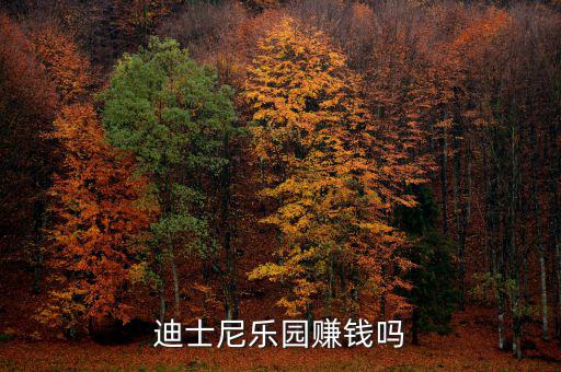 迪士尼靠什么賺錢,迪士尼樂(lè)園賺錢嗎