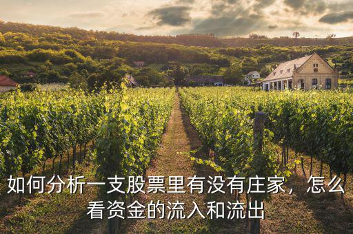 如何分析一支股票里有沒(méi)有莊家，怎么看資金的流入和流出