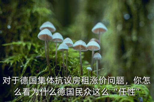 對(duì)于德國集體抗議房租漲價(jià)問題，你怎么看為什么德國民眾這么“任性”