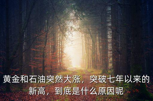 黃金和石油突然大漲，突破七年以來(lái)的新高，到底是什么原因呢