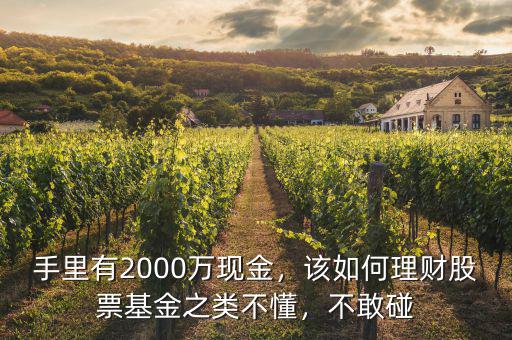 手里有2000萬現(xiàn)金，該如何理財股票基金之類不懂，不敢碰
