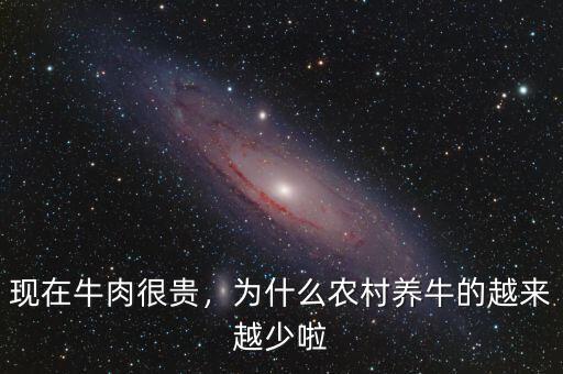 現(xiàn)在牛肉很貴，為什么農村養(yǎng)牛的越來越少啦