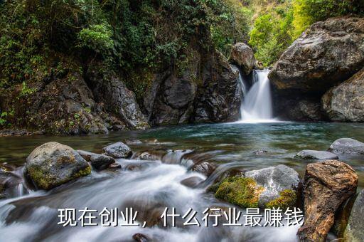 現(xiàn)在創(chuàng)業(yè)，什么行業(yè)最賺錢