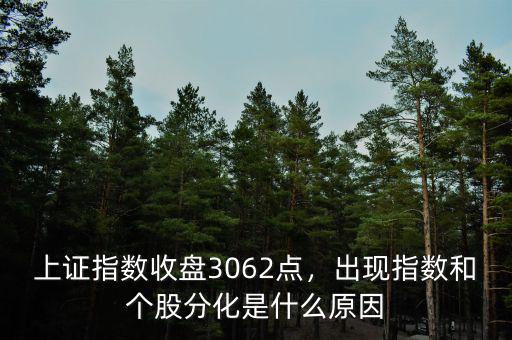 上證指數(shù)收盤3062點(diǎn)，出現(xiàn)指數(shù)和個股分化是什么原因