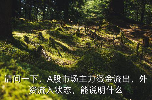 請問一下，A股市場主力資金流出，外資流入狀態(tài)，能說明什么