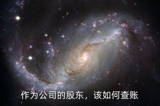 作為公司的股東，該如何查賬
