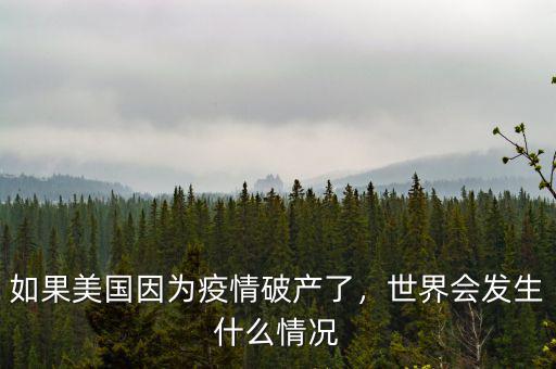 如果美國因?yàn)橐咔槠飘a(chǎn)了，世界會發(fā)生什么情況