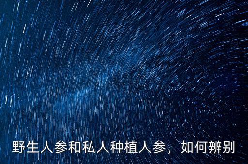 野生人參和私人種植人參，如何辨別