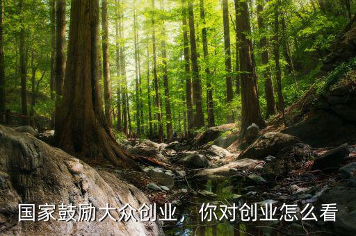 國家鼓勵大眾創(chuàng)業(yè)，你對創(chuàng)業(yè)怎么看