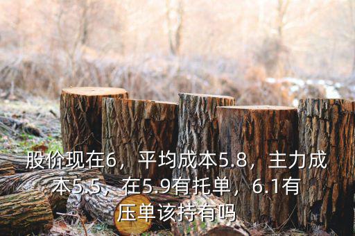 股價(jià)現(xiàn)在6，平均成本5.8，主力成本5.5，在5.9有托單，6.1有壓?jiǎn)卧摮钟袉? class=