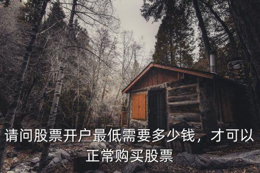 請(qǐng)問股票開戶最低需要多少錢，才可以正常購買股票