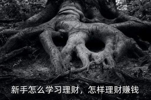 新手怎么學(xué)習(xí)理財，怎樣理財賺錢