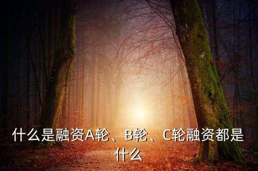 什么是融資A輪、B輪、C輪融資都是什么