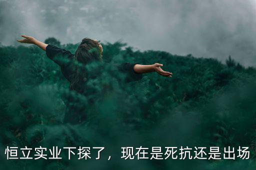 恒立實業(yè)下探了，現(xiàn)在是死抗還是出場