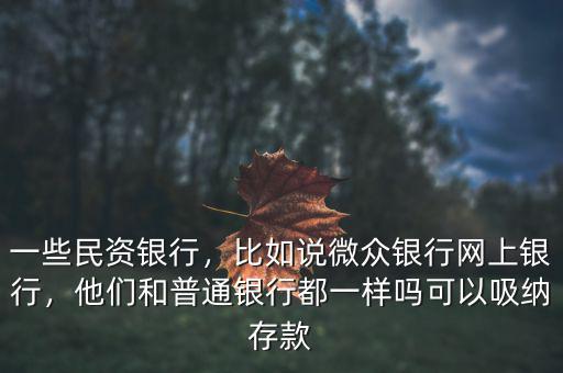 一些民資銀行，比如說微眾銀行網(wǎng)上銀行，他們和普通銀行都一樣嗎可以吸納存款