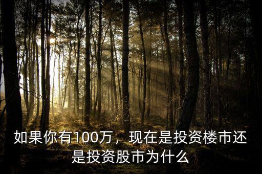 如果你有100萬，現在是投資樓市還是投資股市為什么