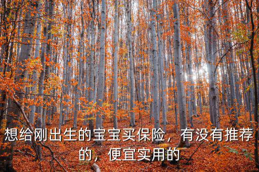 想給剛出生的寶寶買(mǎi)保險(xiǎn)，有沒(méi)有推薦的，便宜實(shí)用的