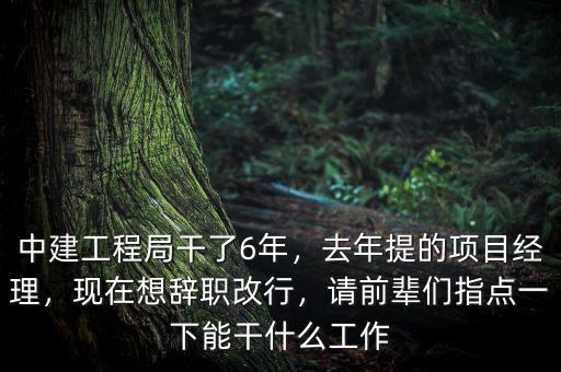 中建工程局干了6年，去年提的項目經(jīng)理，現(xiàn)在想辭職改行，請前輩們指點一下能干什么工作