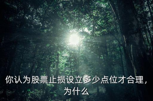 你認(rèn)為股票止損設(shè)立多少點位才合理，為什么